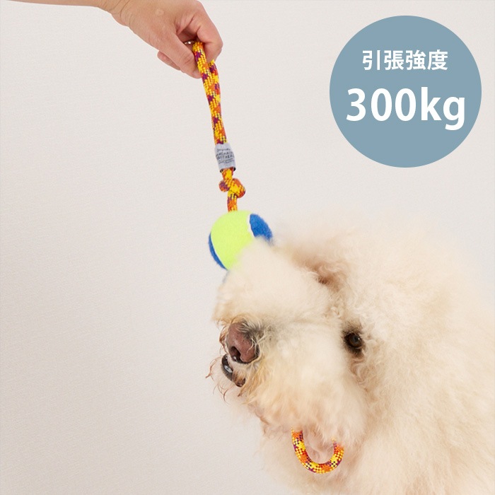 MANDARINE BROTHERS �ޥ�����֥饶���� �����ϡ��ɥȥ�