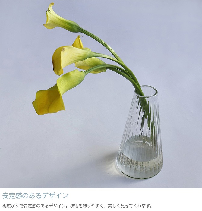 Horn Please �ۡ��� �ץ꡼�� ��塼�����饹 �ե��١��� ������饤�� ����� L