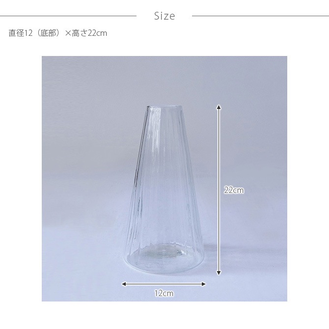 Horn Please �ۡ��� �ץ꡼�� ��塼�����饹 �ե��١��� ������饤�� ����� L