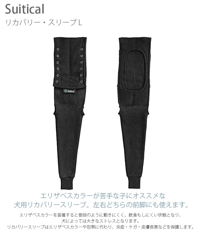 Suitical ƥ ꥫХ꡼꡼ L