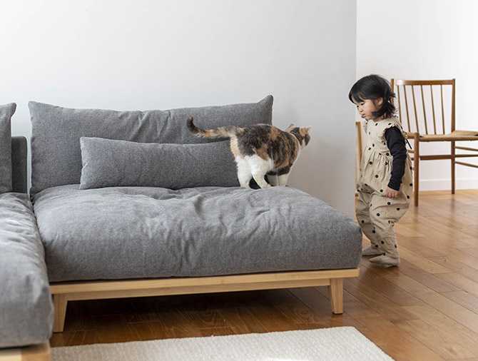 Fumi �ե� �����ˤʤ륽�ե� �磻�� ɸ������