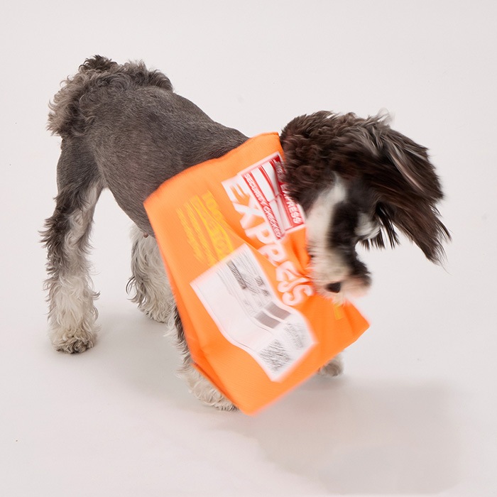 MANDARINE BROTHERS �ޥ�����֥饶���� �ե饤�󥰥������ץ쥹�ȥ�