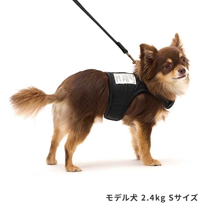 LIFELIKE �饤�ե饤�� �ߥ륢���ȥɥ��ϡ��ͥ� S