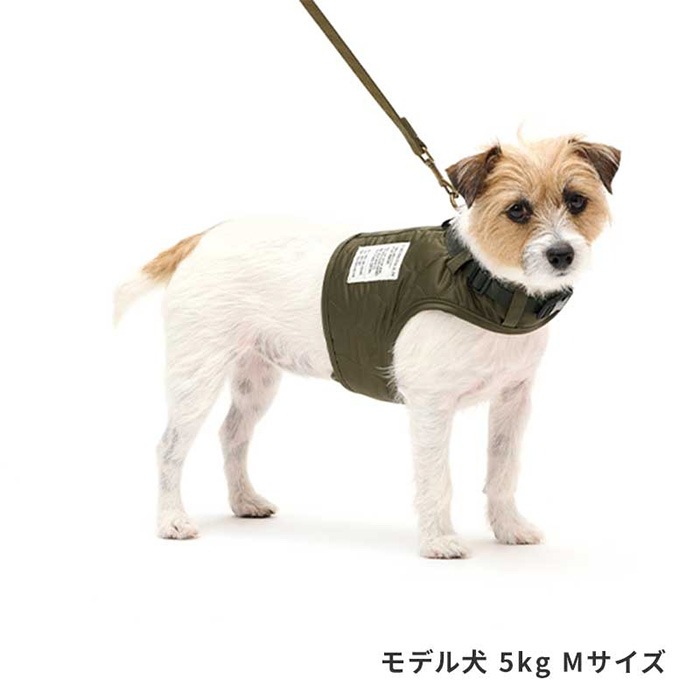 LIFELIKE �饤�ե饤�� �ߥ륢���ȥɥ��ϡ��ͥ� S