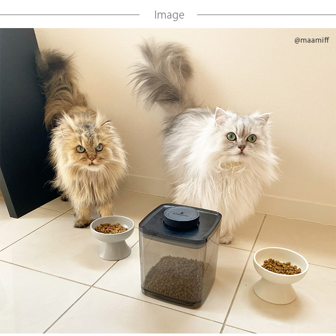 ANKOMN ���󥳥�� ̩����¸�ƴ� ���С����å� 1.5L