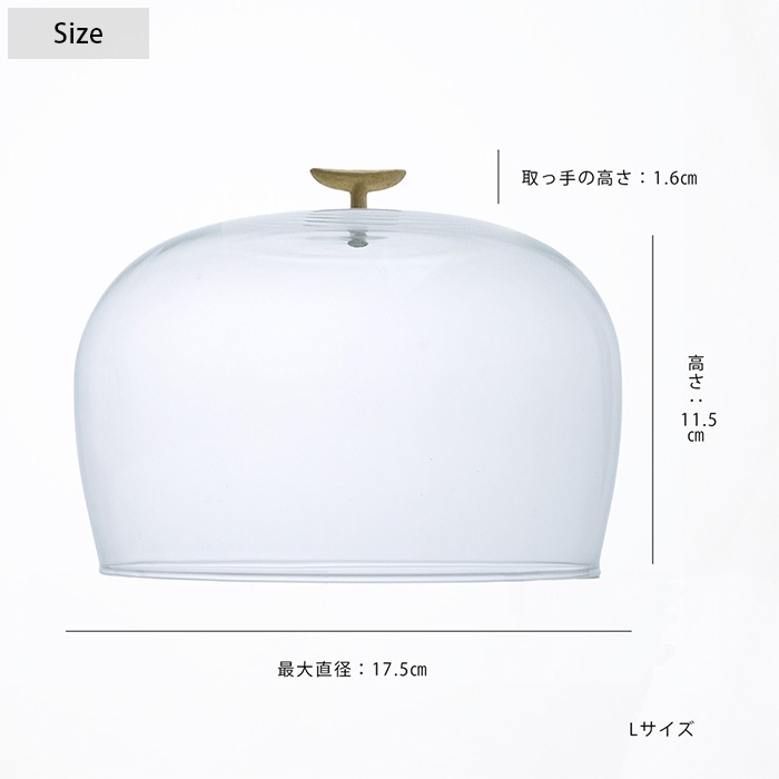 shesay ������ ��餷����Ũ�ˤ��Ƥ���� ��塼�����饹�Υ��饹�ɡ��� L
