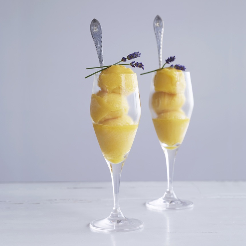 HOLMEGAARD �ۥ�६���� PERFECTION�������ѥ󥰥饹 320ml 6�ĥ��å�  �̲����� ��������ã �֥��� �磻�󹥤� �磻�󥰥å� �͵� �ץ쥼��� ���ե� �������� ���饹 �������