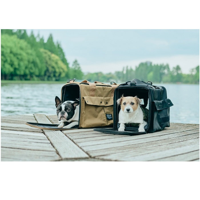 LIFELIKE �饤�ե饤�� OUTDOOR ���󥯥���꡼