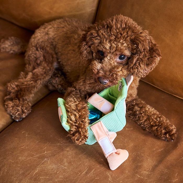 MANDARINE BROTHERS �ޥ�����֥饶���� ���եȥܥå����ȥ�