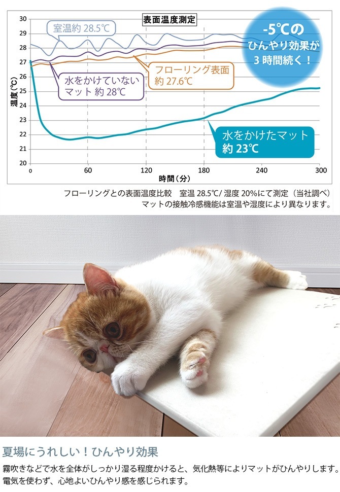 HARIO �ϥꥪ �ʥΥƥ��Υ������ޥå� ������