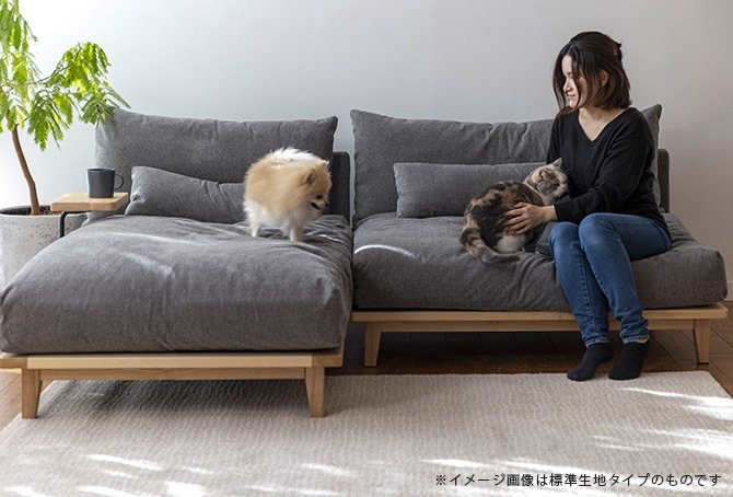 Fumi ե ˤʤ륽ե  ڥåб