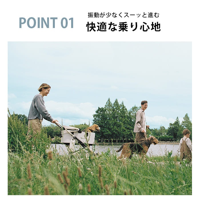 AIRBUGGY �����Х��� DOME3 PREMIER���ɡ���3 �ץ�ߥ� �쥮��顼