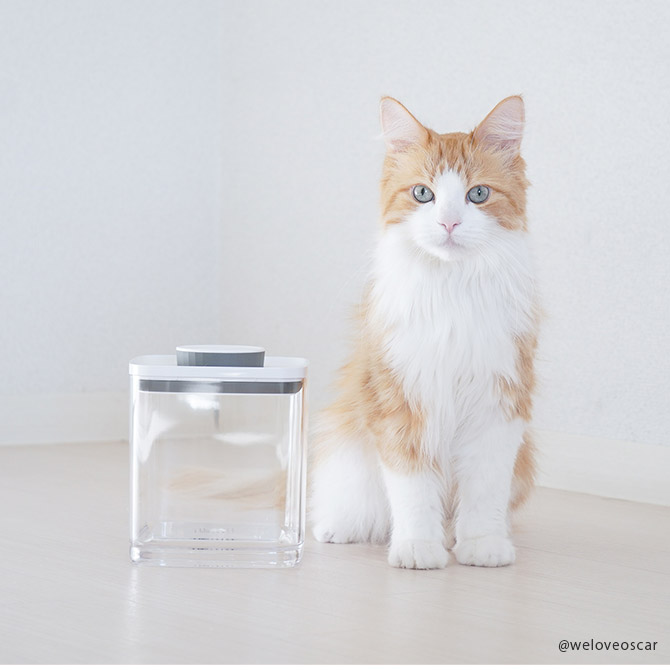 ANKOMN ���󥳥�� ̩����¸�ƴ� ���С����å� 0.6L