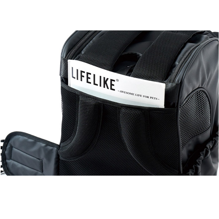 LIFELIKE �饤�ե饤�� �����Хå��ѥå�