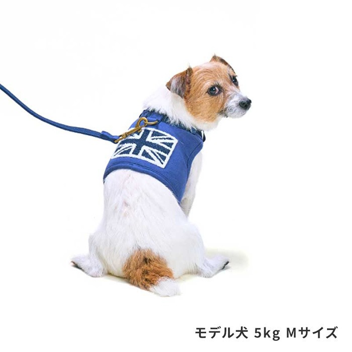 LIFELIKE �饤�ե饤�� �ե�å��ϡ��ͥ� S