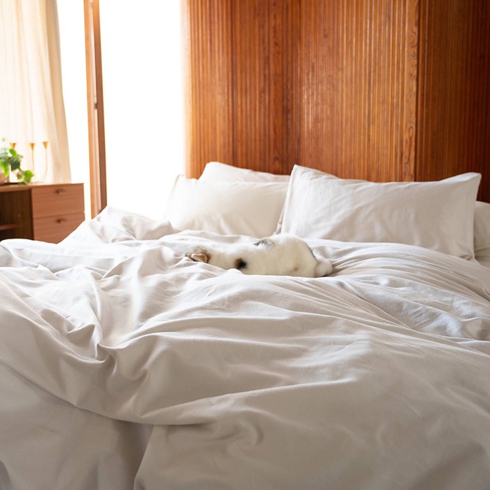 Fab the Home ե֥ۡ ԥ L åȥӥ