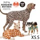 MANDARINE BROTHERS �ޥ�����֥饶���� �����󥿥��ȥ����� �ޥ���ץ��� XS��S