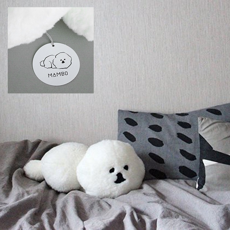 CLASKA DO 饹 ɡ MAMBO ̤ ꥢ NR-01650