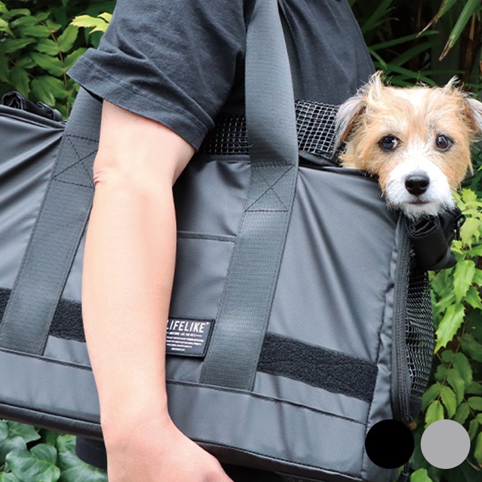 LIFELIKE �饤�ե饤�� �������󥰥ȡ��ȥ���꡼