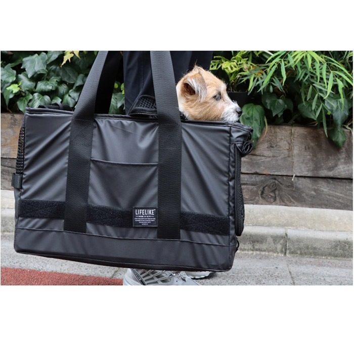 LIFELIKE �饤�ե饤�� �������󥰥ȡ��ȥ���꡼