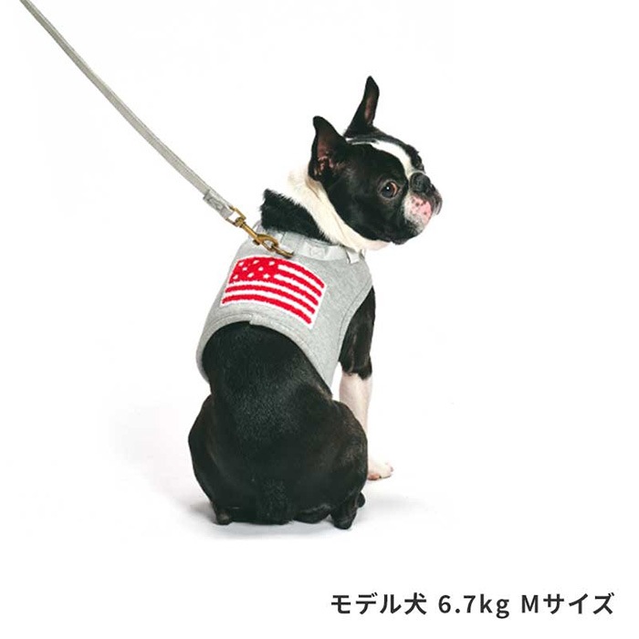 LIFELIKE �饤�ե饤�� �ե�å��ϡ��ͥ� M