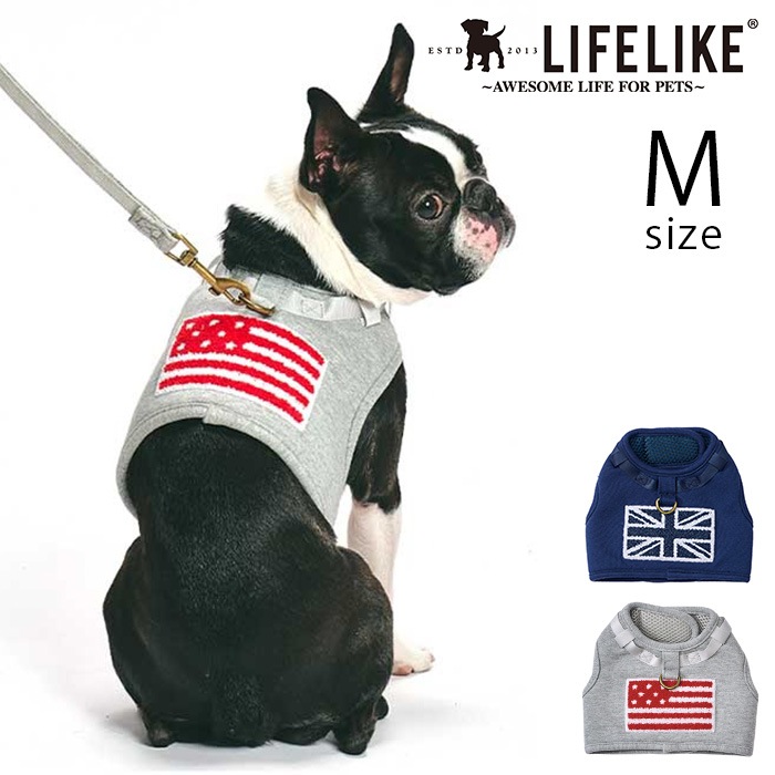 LIFELIKE �饤�ե饤�� �ե�å��ϡ��ͥ� M