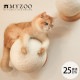 MYZOO �ޥ����� Caturn N25 �޸����ܡ���