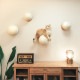 MYZOO �ޥ����� Caturn N25 �޸����ܡ���
