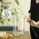 ���饹���� EURO���饹 ľ��19�߹⤵30cm ���ꥢ�� �ե��١����礭��/�̲� �衼���å�/����ץ� ����/�ִ�/Ʃ��/�礭�� �緿/�������/