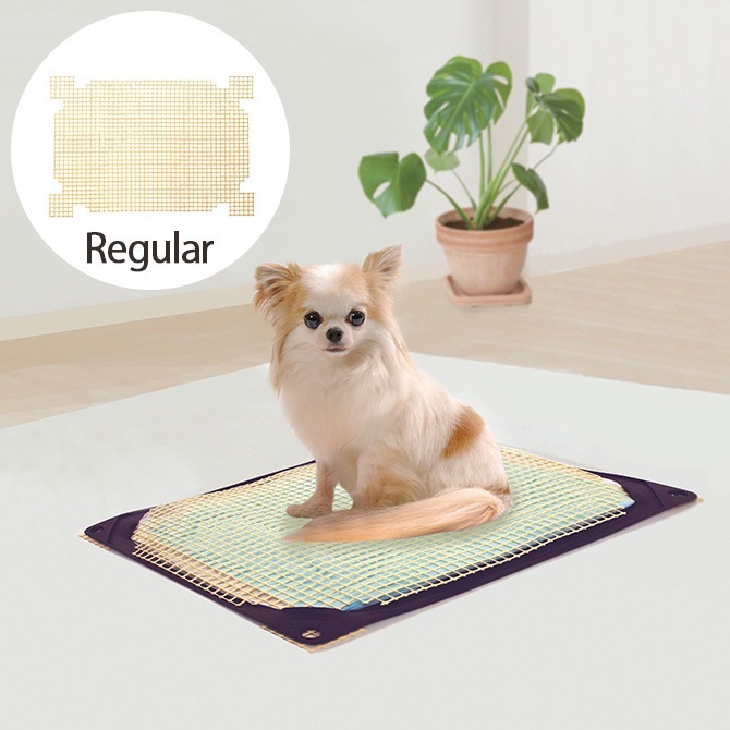 HARIO �ϥꥪ ��󥳥ȥ���ޥå� ���Ĥ���å��� �쥮��顼