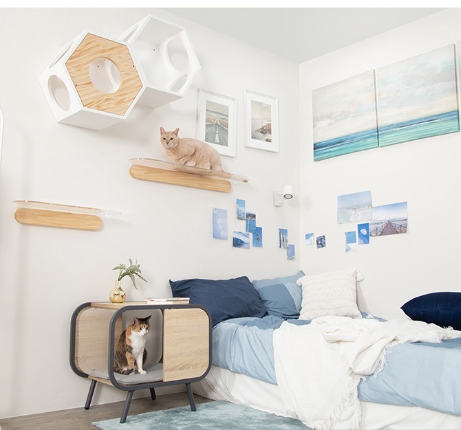 MYZOO �ޥ����� BEAM �����ɥơ��֥�