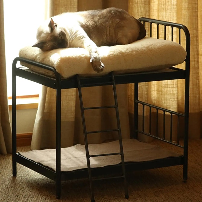 JOURNAL STANDARD FURNITURE 㡼ʥ륹ɥե˥㡼 SENS BUNK BED for CAT