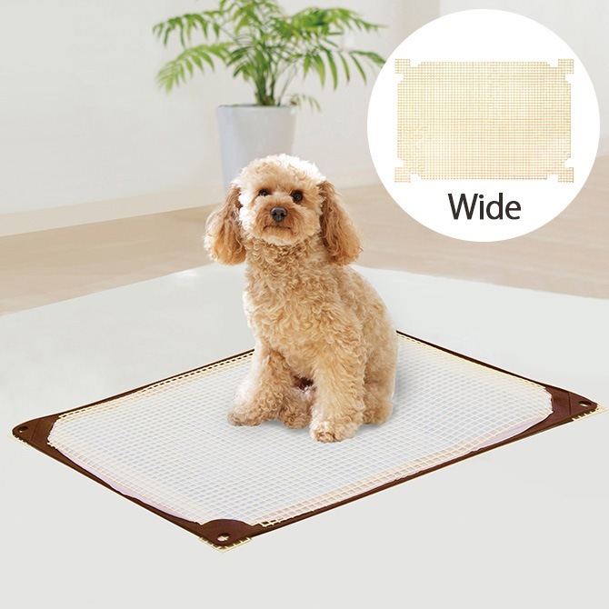 HARIO �ϥꥪ ��󥳥ȥ���ޥå� ���Ĥ���å��� �磻��