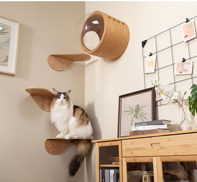 MYZOO �ޥ����� ����åȥ��ƥå� LACK TILT