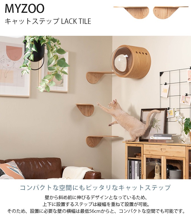 MYZOO �ޥ����� ����åȥ��ƥå� LACK TILT