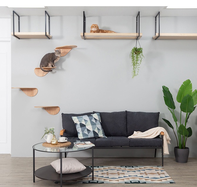 MYZOO �ޥ����� ����åȥ��ƥå� LACK TILT