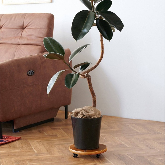 JOURNAL STANDARD FURNITURE ���㡼�ʥ륹��������ɥե��˥��㡼 JSF ���㥹�����դ� �ץ�󥿡��ȥ졼 �饦���S