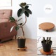 JOURNAL STANDARD FURNITURE ���㡼�ʥ륹��������ɥե��˥��㡼 JSF ���㥹�����դ� �ץ�󥿡��ȥ졼 �饦���S