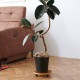 JOURNAL STANDARD FURNITURE ���㡼�ʥ륹��������ɥե��˥��㡼 JSF ���㥹�����դ� �ץ�󥿡��ȥ졼 �饦���S