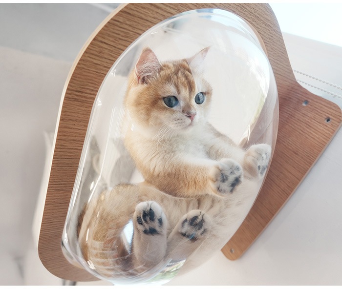 MYZOO �ޥ����� Aura ���ϥ���åȥ٥å�