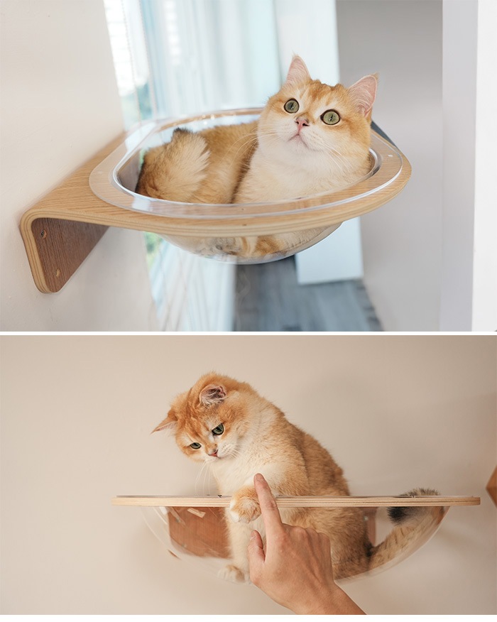 MYZOO �ޥ����� Aura ���ϥ���åȥ٥å�