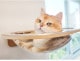 MYZOO �ޥ����� Aura ���ϥ���åȥ٥å�
