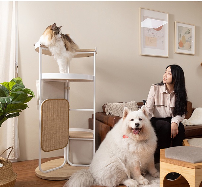 MYZOO �ޥ����� LOOP TOWER ���ѥ���륭��åȥ��