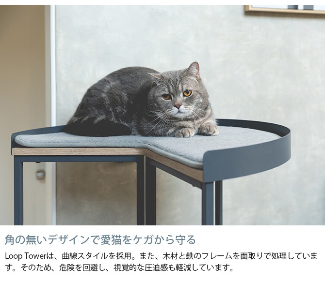 MYZOO �ޥ����� LOOP TOWER ���ѥ���륭��åȥ��