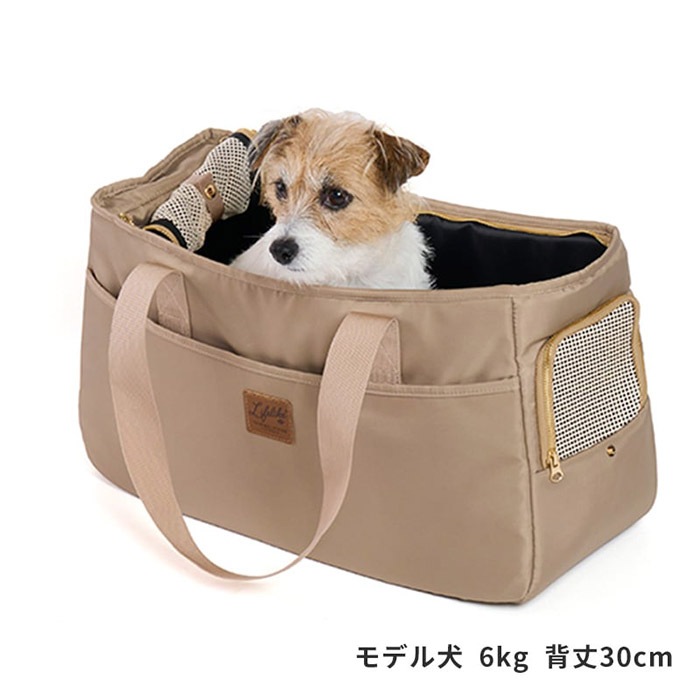 LIFELIKE �饤�ե饤�� ����ե����ȥ��󥰥���꡼