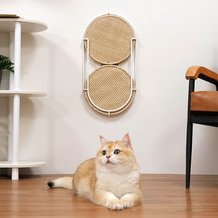 MYZOO �ޥ����� Locus �߷��ޤȤ��ܡ���