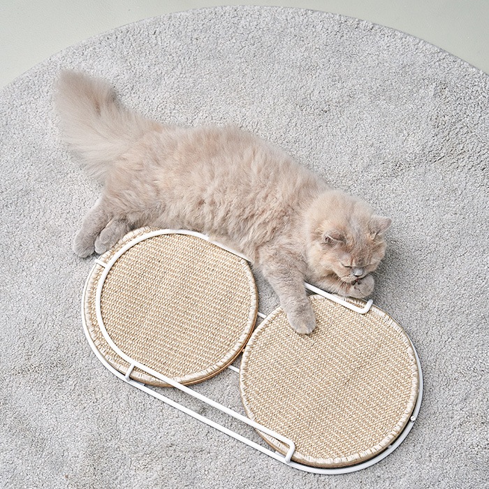MYZOO �ޥ����� Locus �߷��ޤȤ��ܡ���