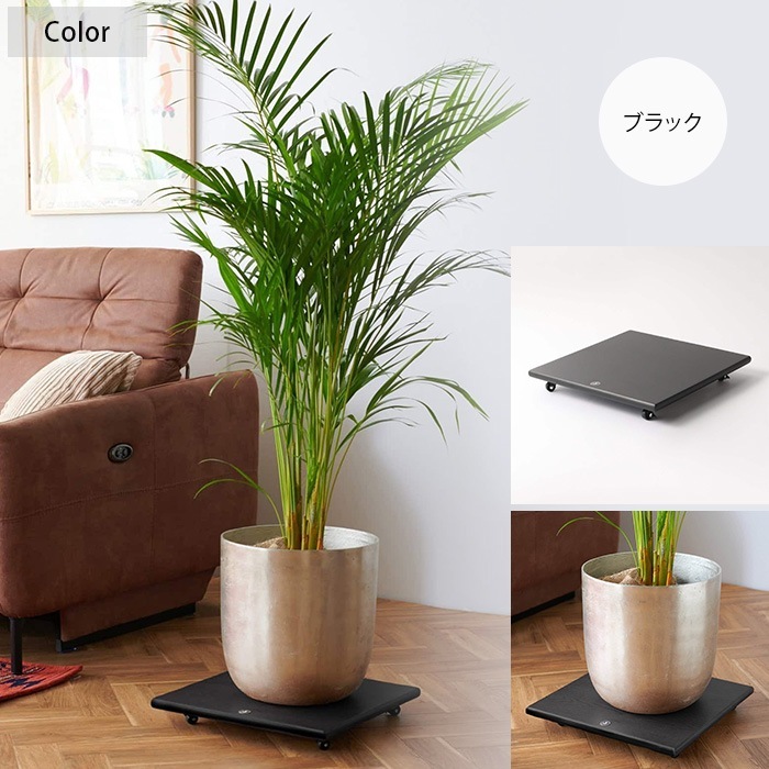 JOURNAL STANDARD FURNITURE ���㡼�ʥ륹��������ɥե��˥��㡼 JSF ���㥹�����դ� �ץ�󥿡��ȥ졼 ��������