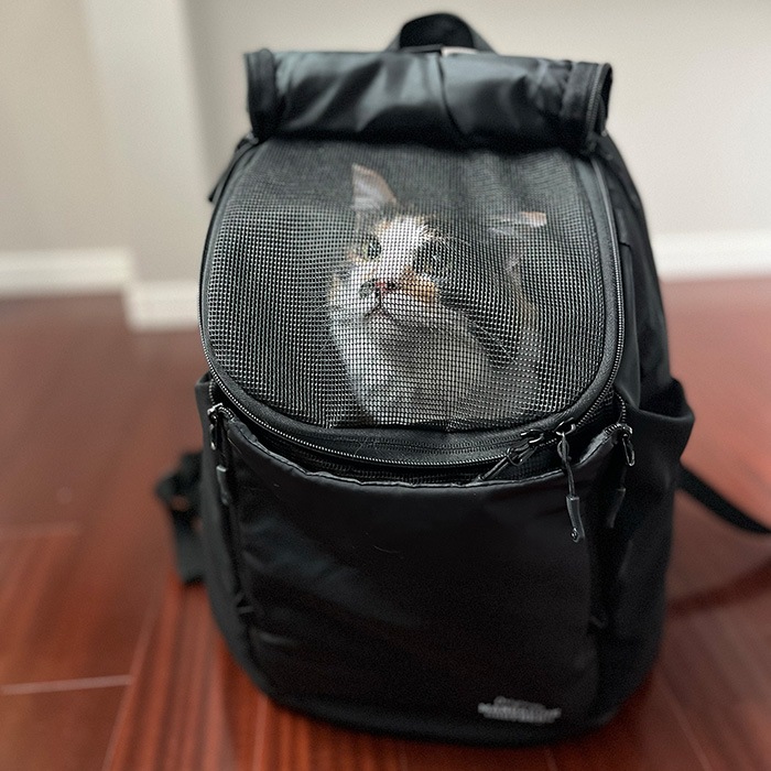 MANDARINE BROTHERS �ޥ�����֥饶���� �����󥹥ȥ�ϥ��Хå� �顼��