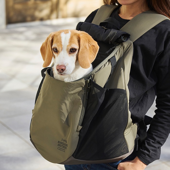 MANDARINE BROTHERS �ޥ�����֥饶���� �����󥹥ȥ�ϥ��Хå� �顼��